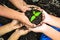 Child holding young plant in hands