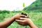 Child holding young plant in hands against spring green backgrou