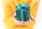 Child holds a Christmas decor and gifts on a white background. Selective focus