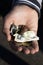 A child holds coins and euro notes in his hands. Pocket money image