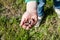 Child holds earthworms in his hand. Spring. Outdoor.