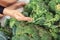 The child holds on his hand a caterpillar on a background of broccoli. healthy eating concept. non-GMO organic foods