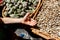 Child holds in his hand a live snail. basket with artichokes and snails on the background