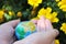 The child holds the planet Earth in his hands. Earth day. The green concept. A toy globe in children`s hands