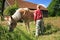 Child and horse Haflinger