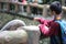 a child interacts with an elephant by feeding it at the zoo in Lombok, Indonesia