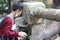 a child interacts with an elephant by feeding it at the zoo in Lombok, Indonesia