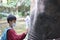 a child interacts with an elephant by touching and petting it at the zoo in Lombok, Indonesia