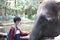 a child interacts with an elephant by touching and petting it at the zoo in Lombok, Indonesia