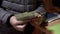 Child in a Jacket Holds and Counts Hryvnia Banknotes, Money in Hands. Close-up