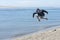 Child jumping off of sand dune