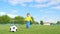 Child kicks a soccer ball on the background of a football goal