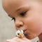 Child kissing little chick bird