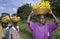 Child labor Ugandans carrying bananas