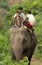 Child laborer with working elephant