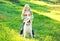 Child and labrador retriever dog on grass in summer