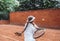 Child learning to play tennis in the sport club