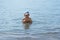The child learns to swim. Happy child swims in the sea. Holidays in Greece