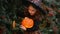 Child little witch on Halloween on a background of autumn leaves, girl holding pumpkin with a burning candle and casting
