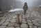 Child looking at cur puppy dog in foggy day. lovely cute scene