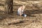 Child looks at the unexploded bomb