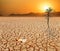 Child lying on cracked earth