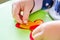 Child making felt soft toy of green leaf and red ladybag . Child DIY activity. Close-up. Children handicraft concept