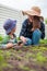 Child and mother gardening in vegetable garden in backyard