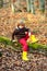 Child outdoors enjoying autumn nature. Portrait kids with funny face on yellow maple leaves.