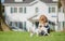 Child owner caressing gently her dog. Happy kid and puppy hugs her with tenderness.