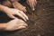 Child and parent digging the soil prepare for plant the tree