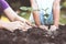 Child and parent hand planting young tree on black soil together