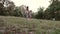 A child with parents and family friends plays a ball in a forest glade.