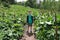 Child on path that crossed meadow on Lago-Naki plateau