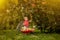 Child picking apples on a farm. Little boy playing in apple tree orchard. Kid pick fruit and put them in a wheelbarrow. Baby