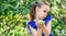 Child picking apples on farm in summer. Little girl playing in tree orchard. Healthy nutrition. Cute little girl holding red