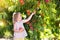 Child picking and eating peach from fruit tree