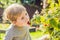 Child picking raspberry. Kids pick fresh fruit on organic raspberries farm. Children gardening and harvesting berry. Toddler kid