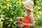 Child picking redcurrant berries