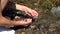 Child Picking River Stone from Mountain Waterfall, Kid Playing in River Water, Girl Hands in Spring Waterfall, Hiking at Camping