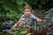 Child picks a cucumbers from the garden during harvesting in the home garden. Healthy eating concept for children