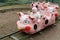 Child on piggy train in entertainment park