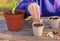 A child plants seeds in pots with soil for seedlings, hands close up