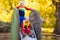 Child on playground in autumn. Kids in fall.