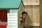 Child in Playhouse