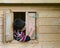 Child in playhouse drawing with chalk