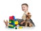 Child playing with building toys. York terrier dog sitting.