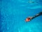 Child playing with generic rubber fish toy in swimming pool