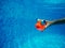 Child playing with generic rubber fish toy in swimming pool