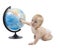 Child playing with globe